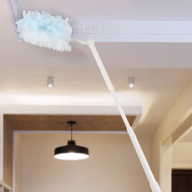 Cepillo de plumero a granel, p - Car Cleaning Brush reseña y precio